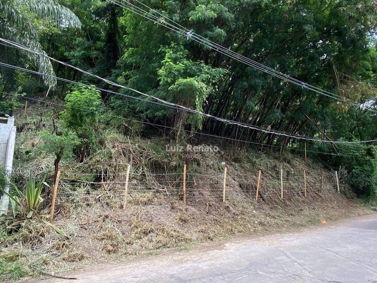 Venda do lote em Santa Lúcia 425m2 - Foto 3