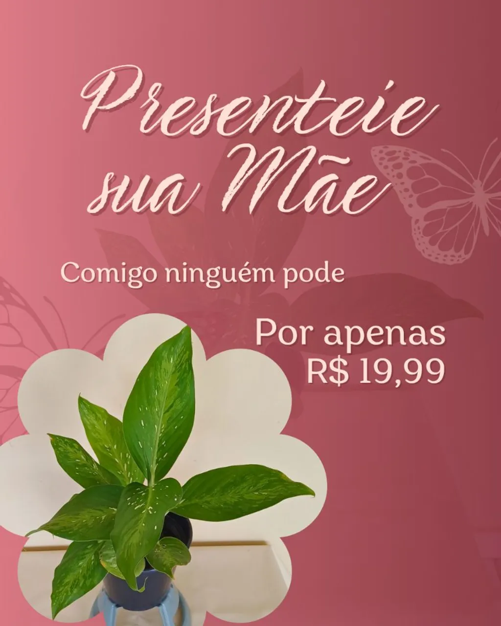 Plantas diversas: presenteie sua mãe!