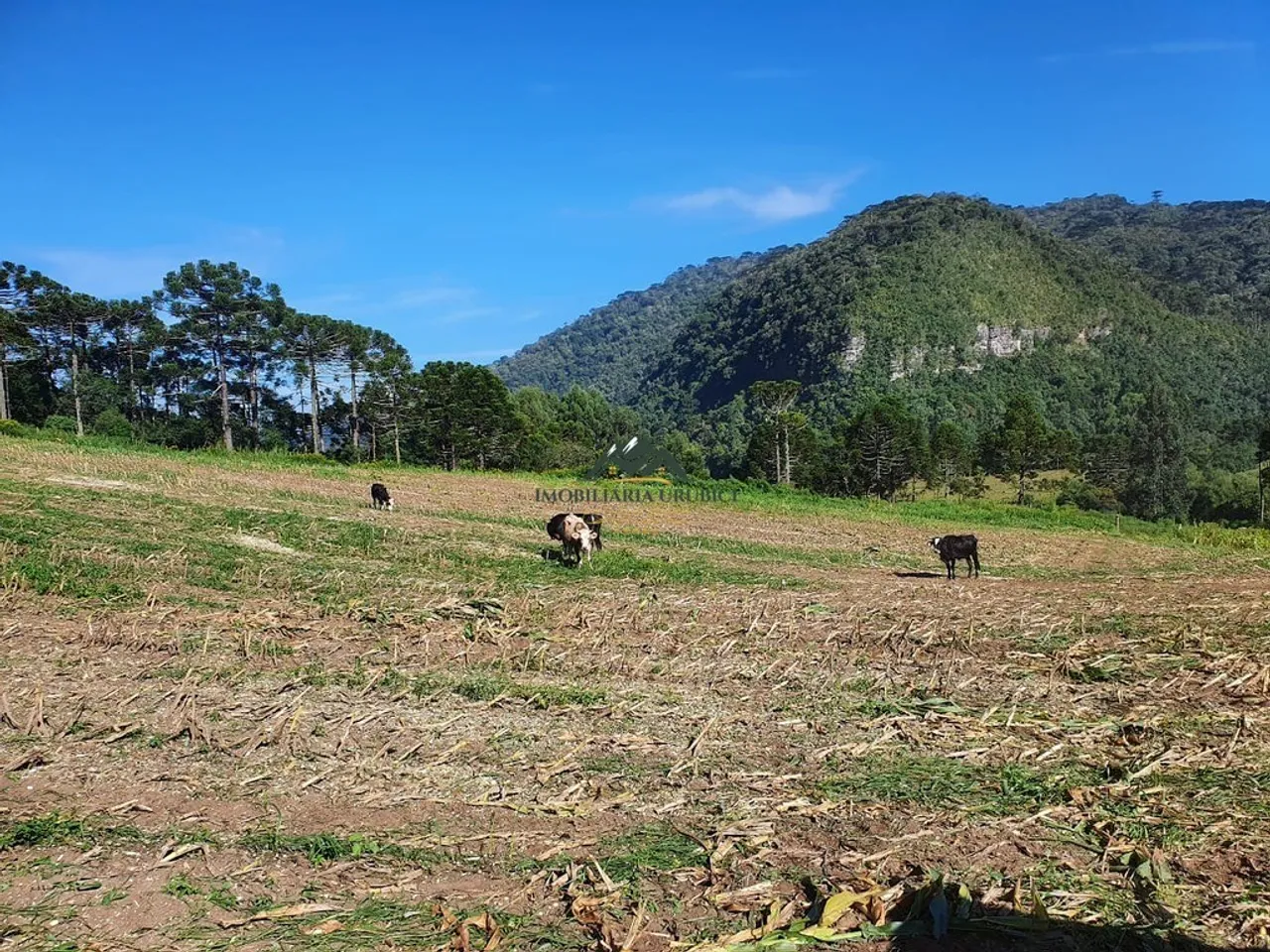 Imagine acordar cercado por cachoeiras, araucárias e vistas espetaculares, em Urubici