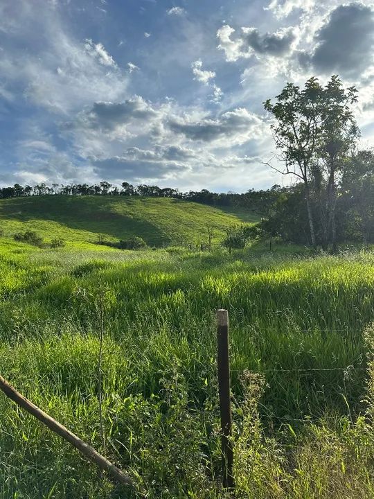 Sítio 70 hectares Juiz de Fora Mg 1,4k - Foto 14