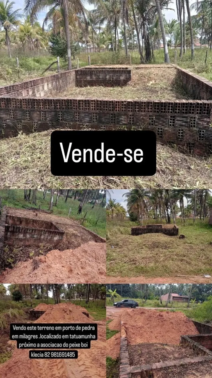 Terreno em tatuamunh 45