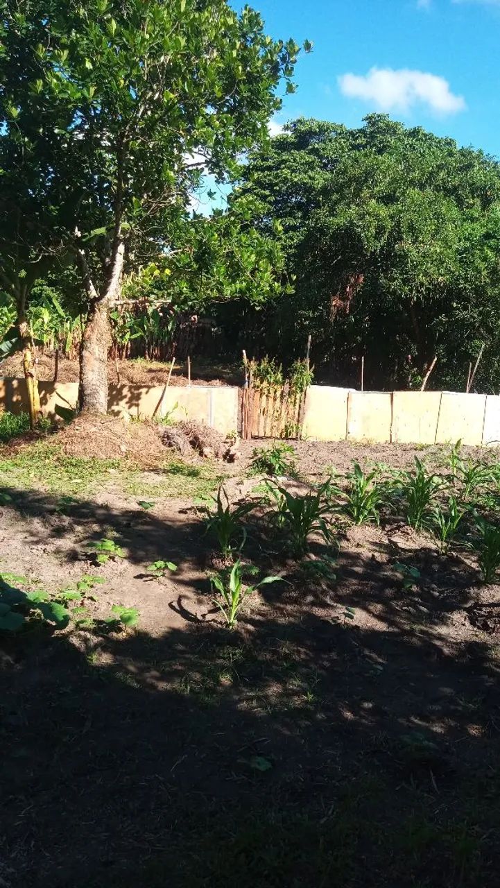 Vende-se um terreno em palmares Simões filho - Foto 7