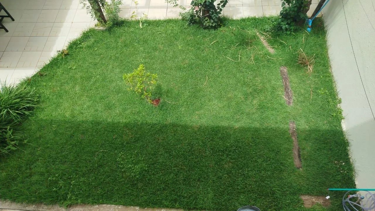 Jardinagem  - Foto 3