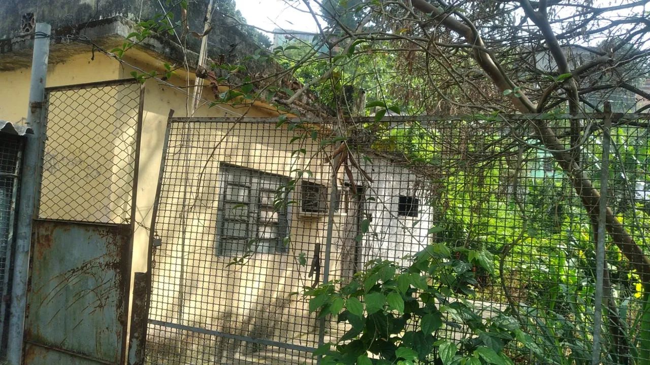 VENDE-SE TERRENOS E CASA