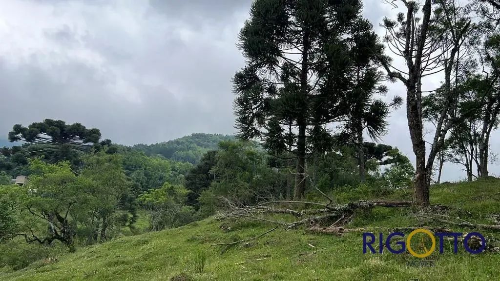 Área Bairro Área Rural - Foto 4