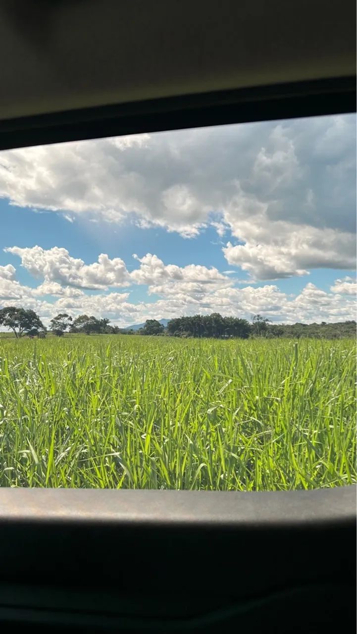 Fazenda 700ha em Cantá/RR - 260ha limpos, sede, curral, galpão e documentação em dia. - Foto 2