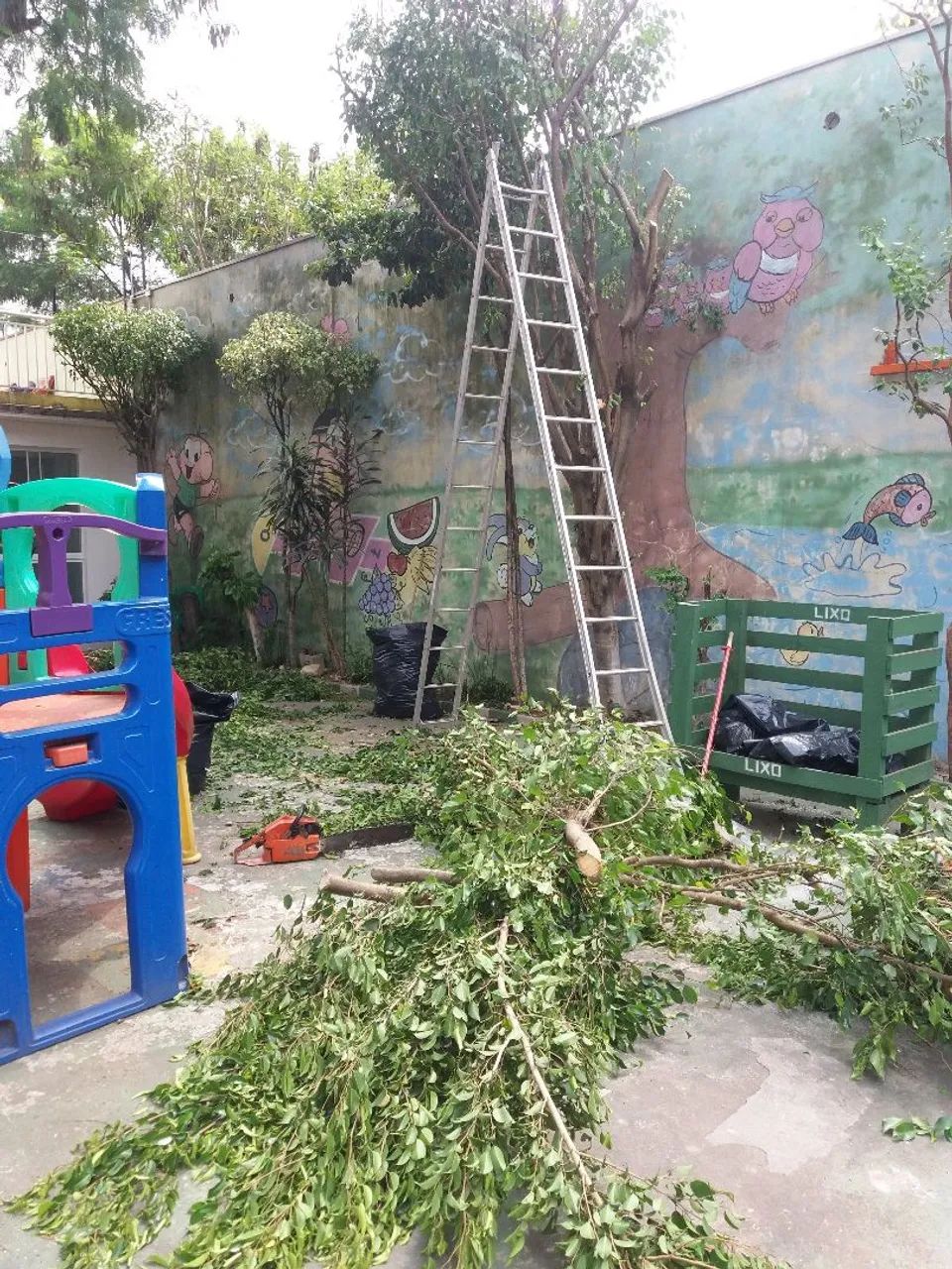 CORTE E PODA DE ÁRVORES EM GUARULHOS  - Foto 4