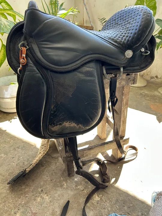 Sela australiana completa