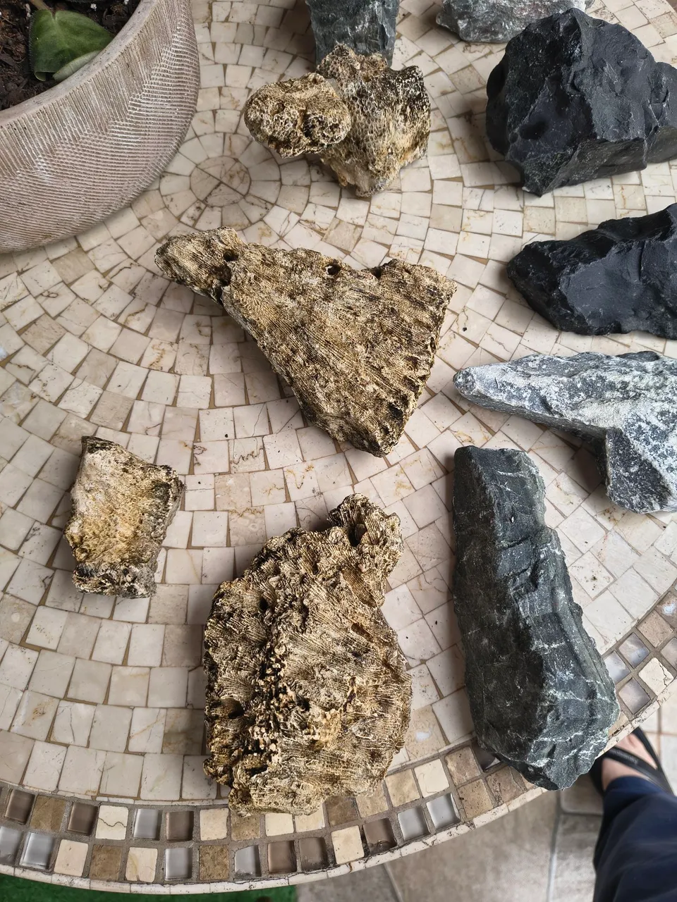 Pedras decorativas para jardim