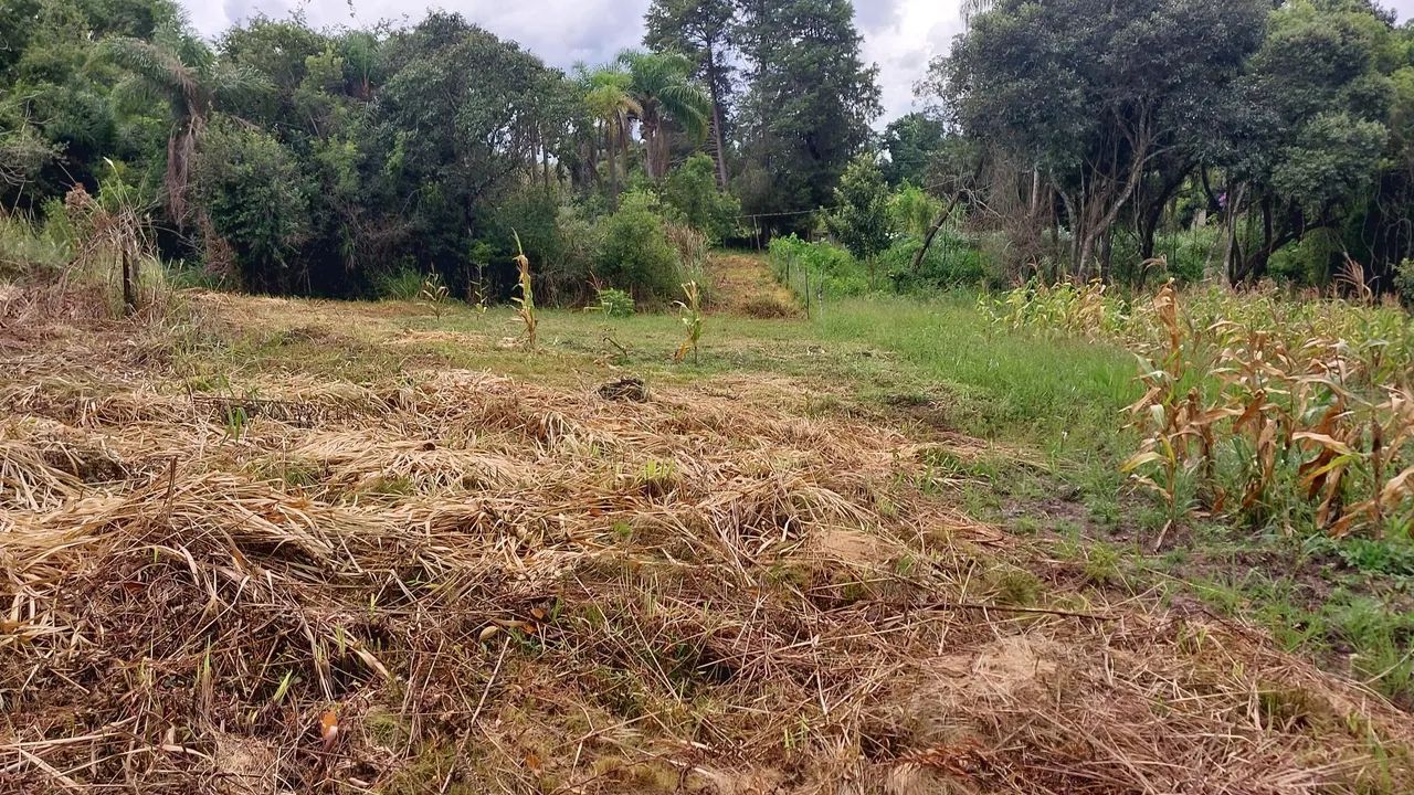 TERRENO JARDIM CANANÉIA 1.439,00 M2 - Foto 12