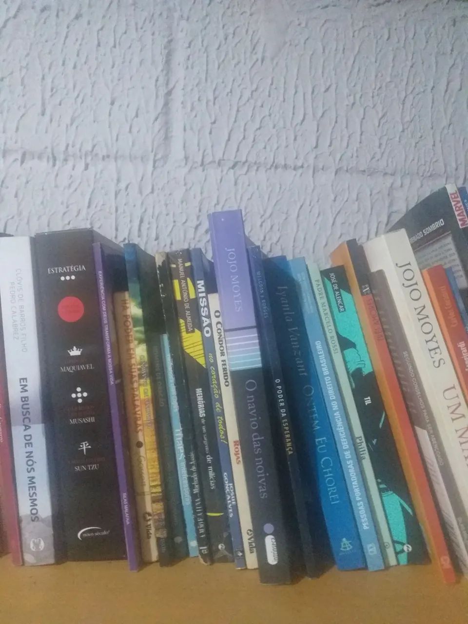 Lote de livros