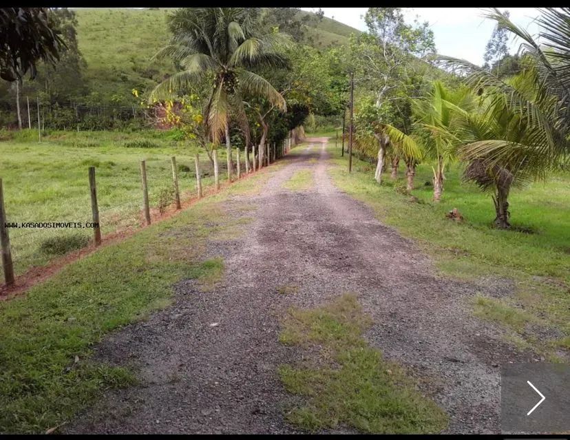 Sitio no Imburo com 18 Alqueires - Foto 3