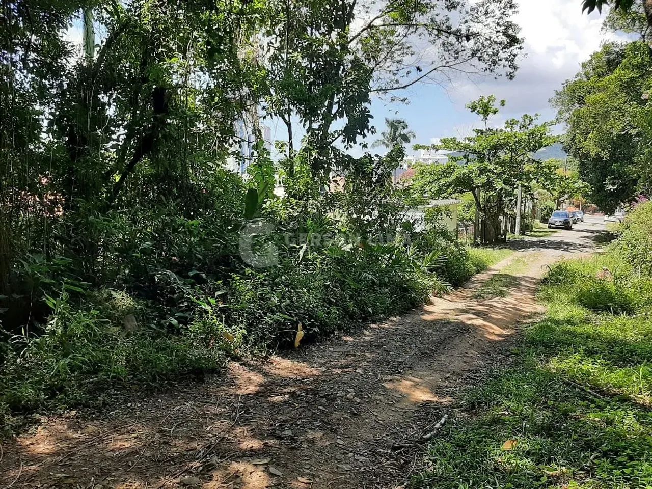 Terreno - Quilombo - Foto 4