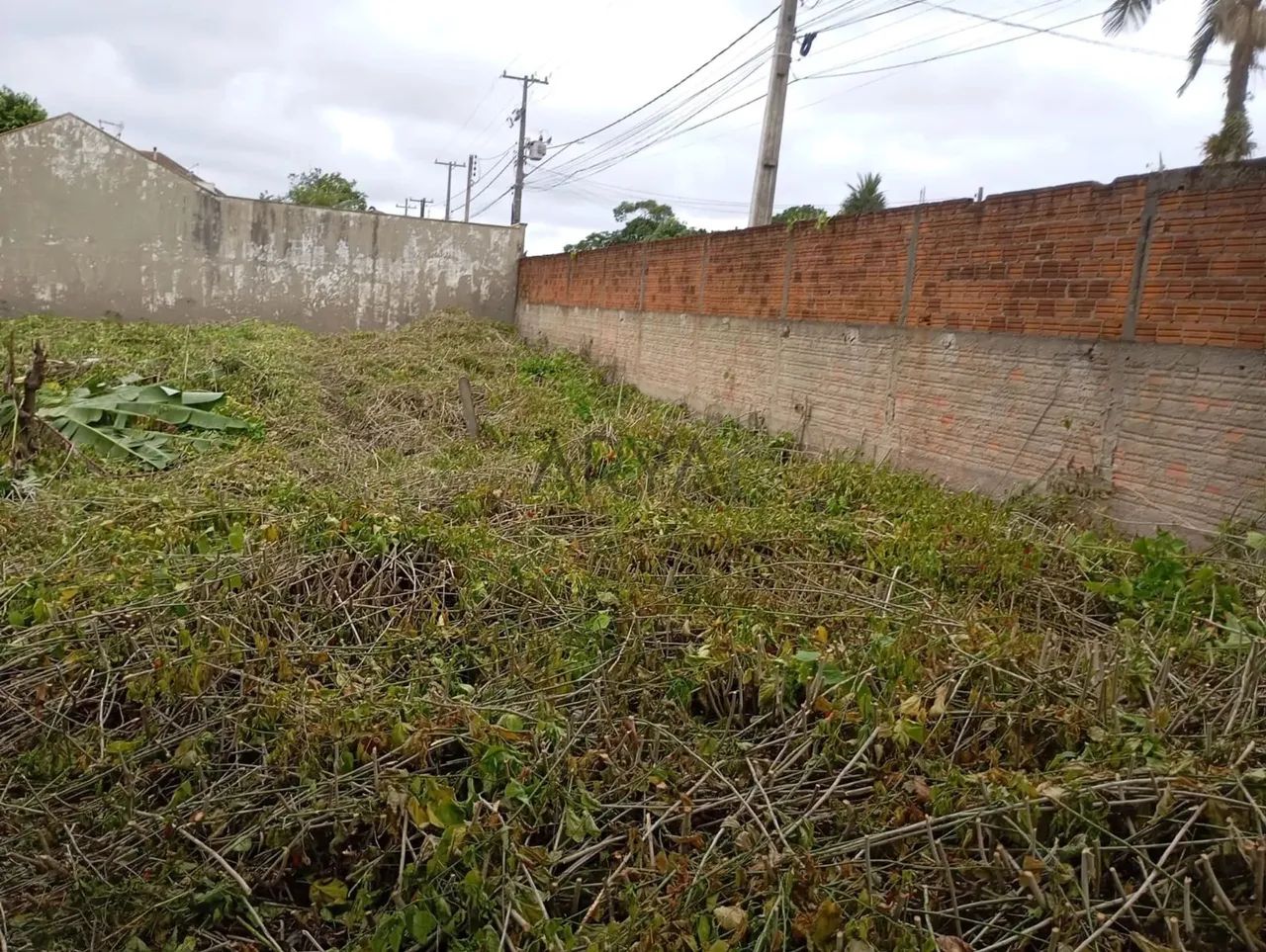 Terreno à venda no bairro Piçarras ARYA1