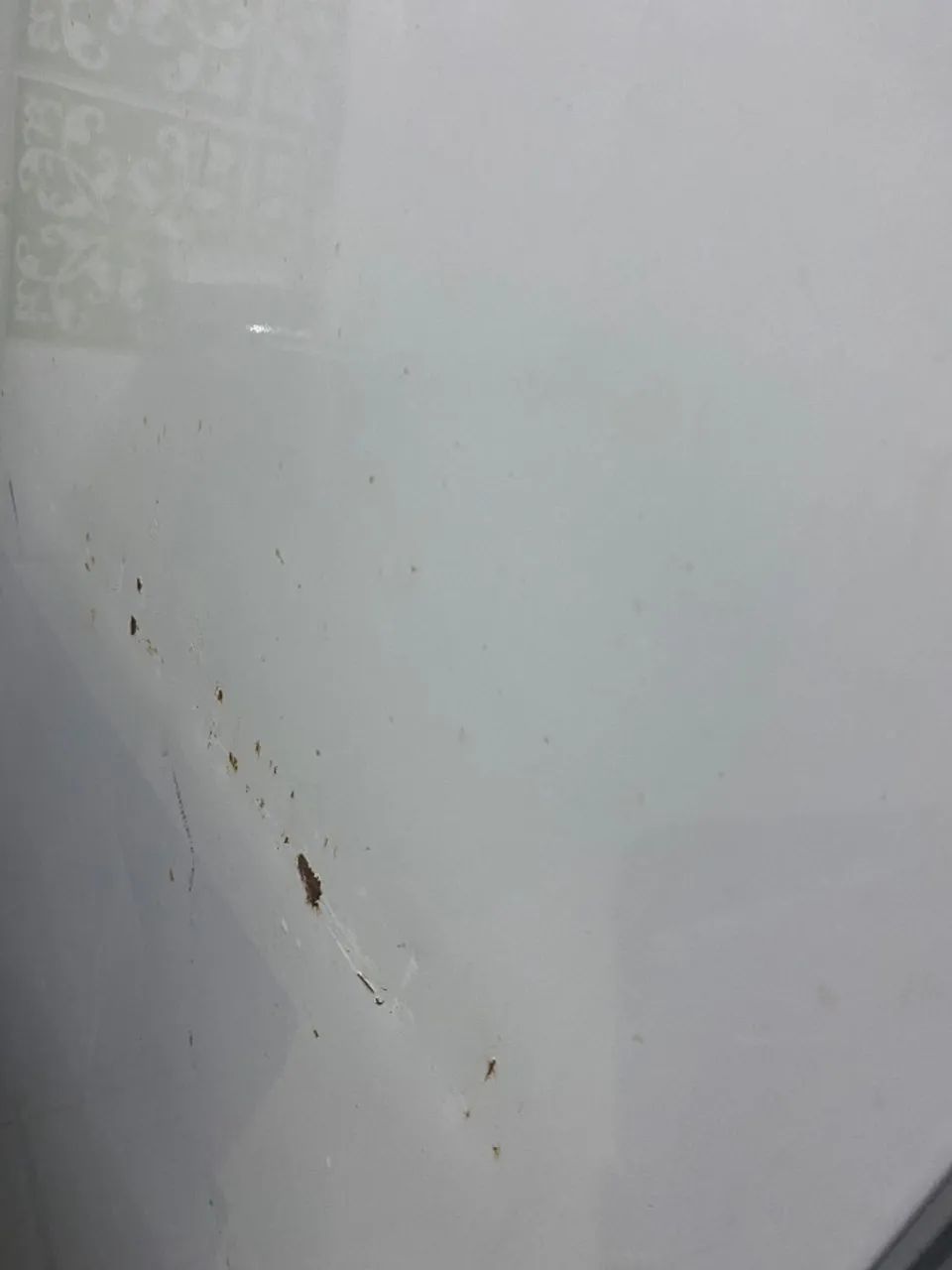 Electrolux DC44 - Foto 2