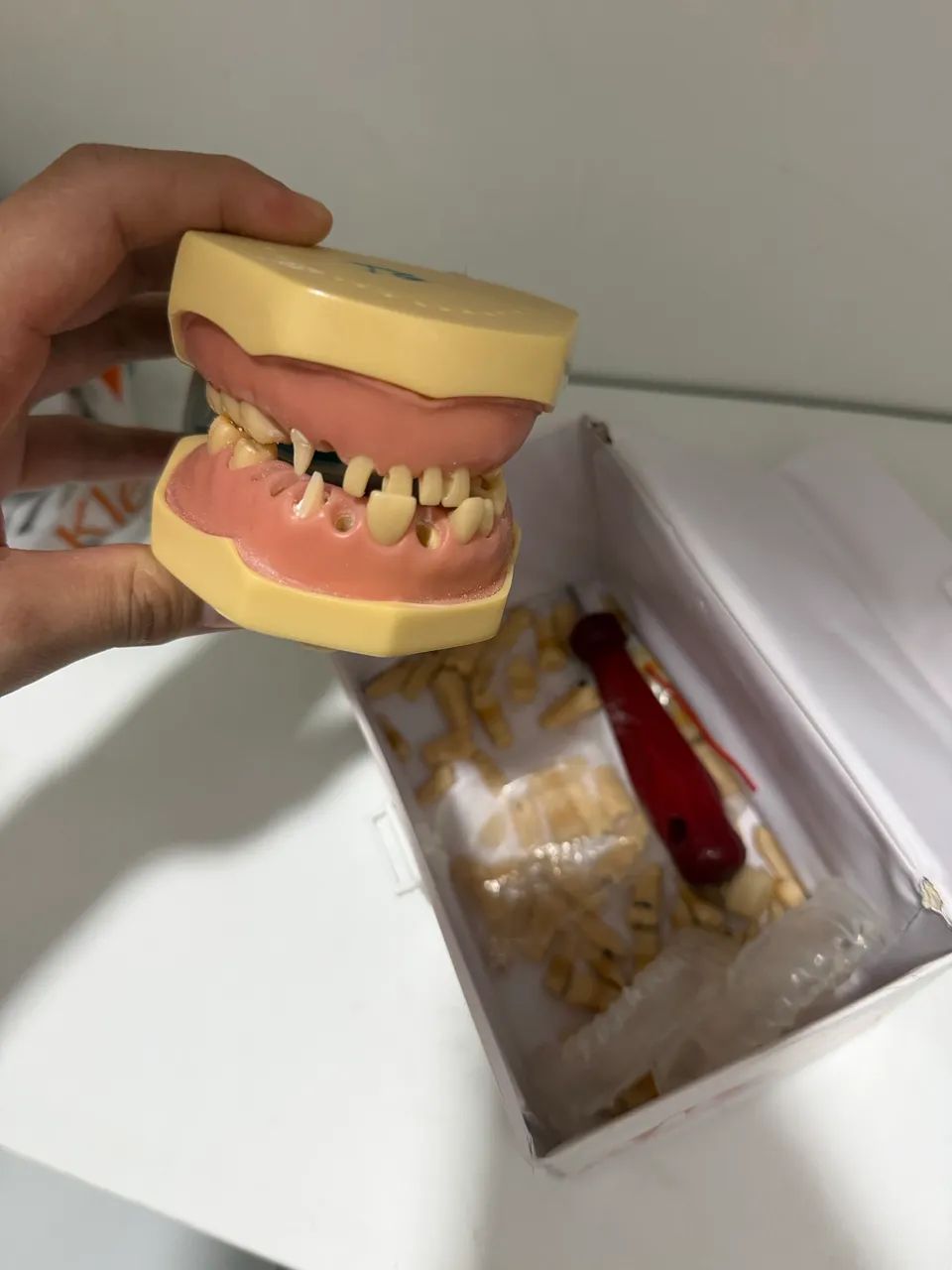 Manequim odontológico  - Foto 2