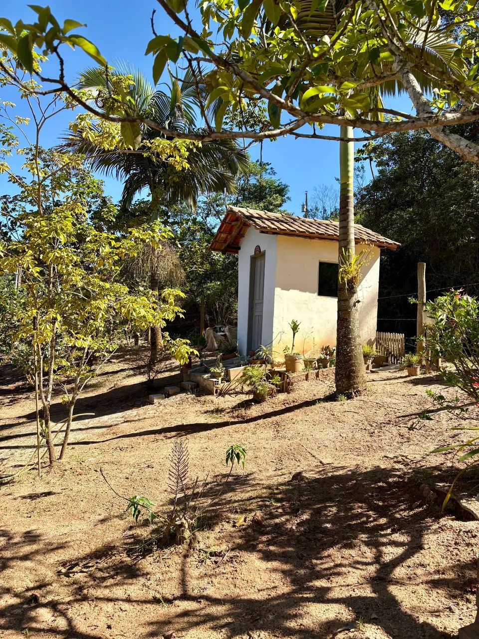 VENDE-SE SÍTIO - 7.500 m² COM DUAS CASAS, POÇO DE PEIXE E POMAR - Foto 3