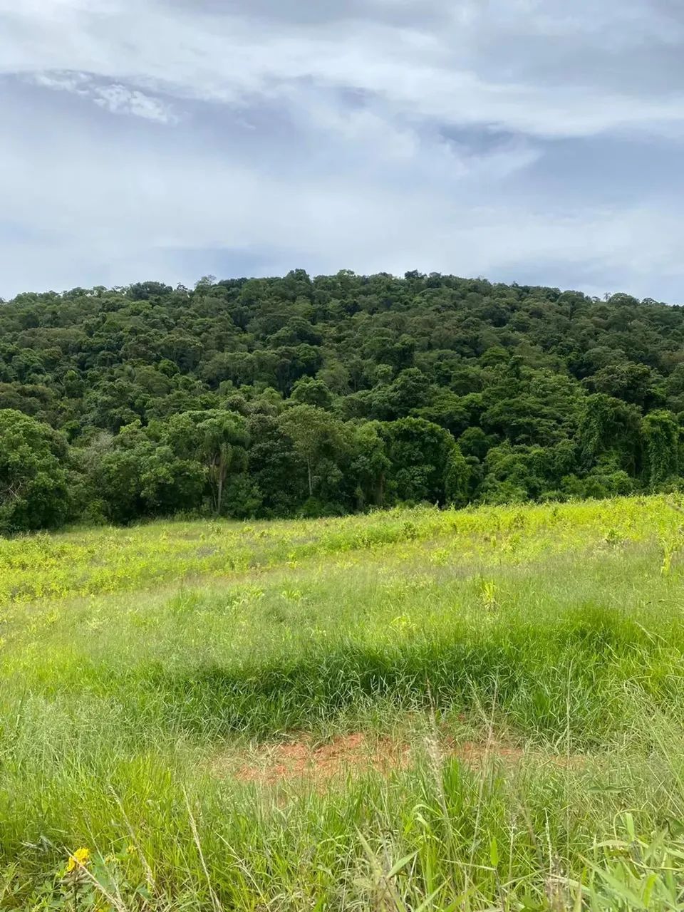 Terrenos promocionais no interior de São Paulo- SP - Foto 8
