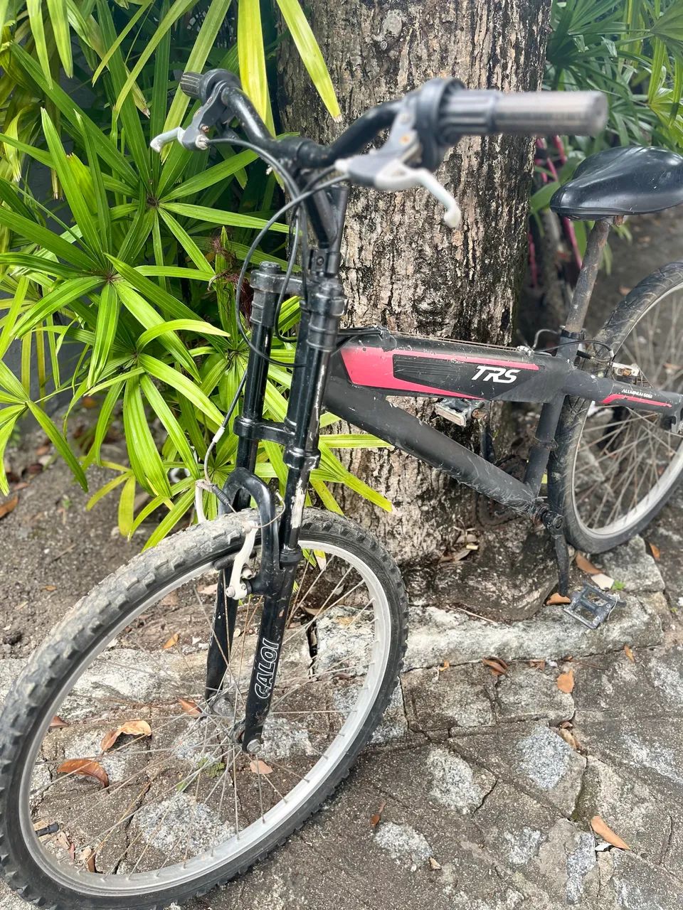 Bicicleta - Foto 4