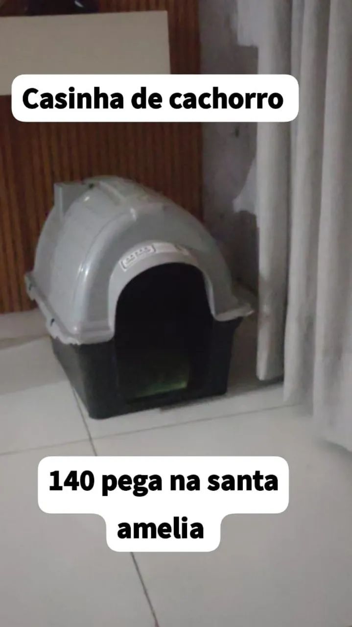 Casinha de cachorro 