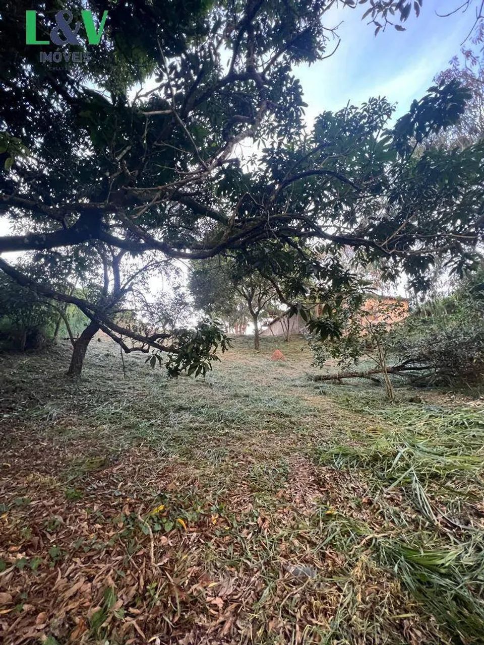 Terreno no bairro Monterrey - Foto 4