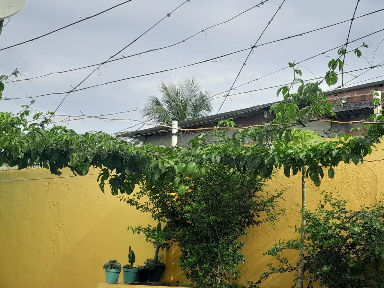 Foto - Itaguaí - Vila Margarida
