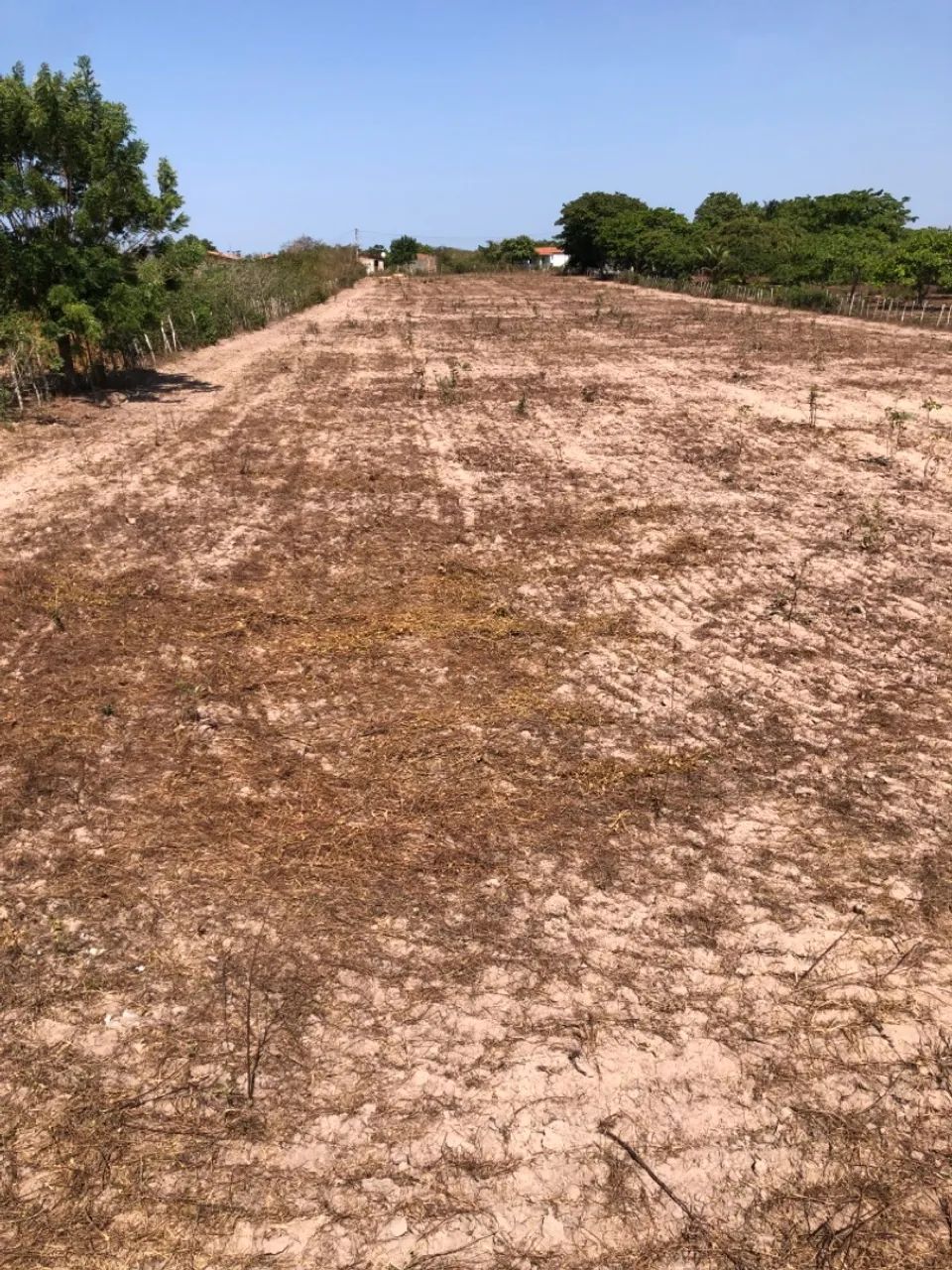 Terreno 40X190 TRAIRI CE - Foto 2