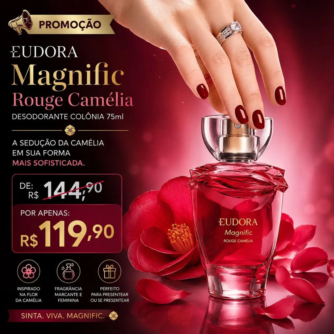 Últimos dias de promoção  - Foto 4