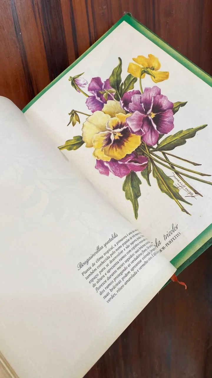 Plantas e flores - Foto 3