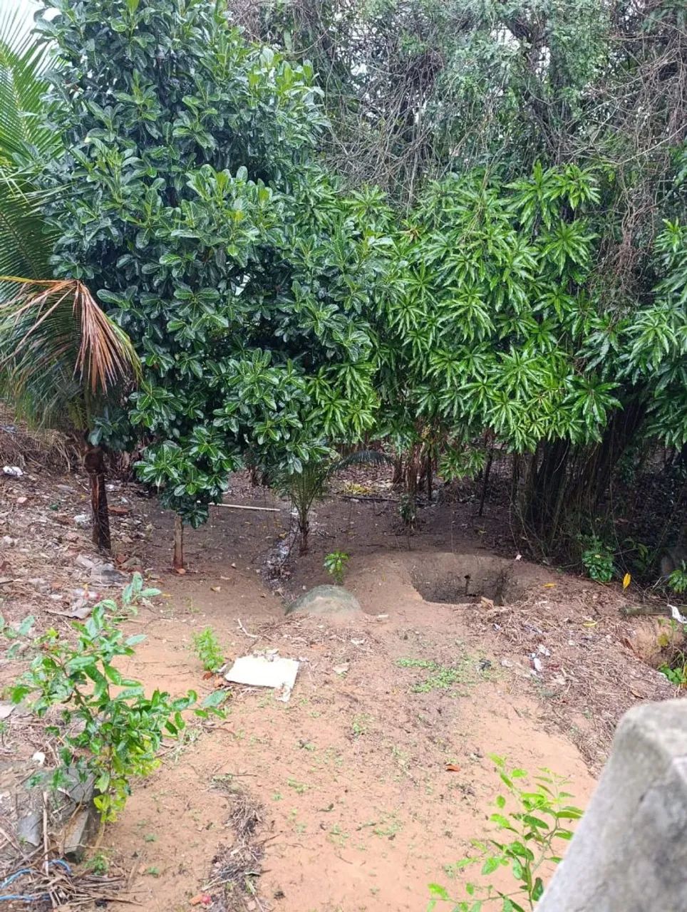 MEIO LOTE - Foto 5
