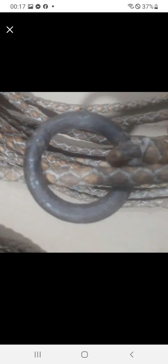 Laço de Couro  - Foto 4