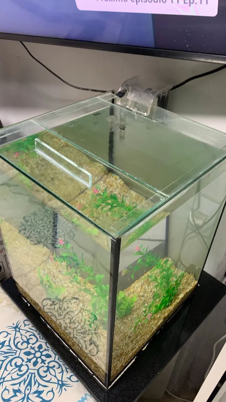 Vendo Aquario cubo com tampa - Foto 3