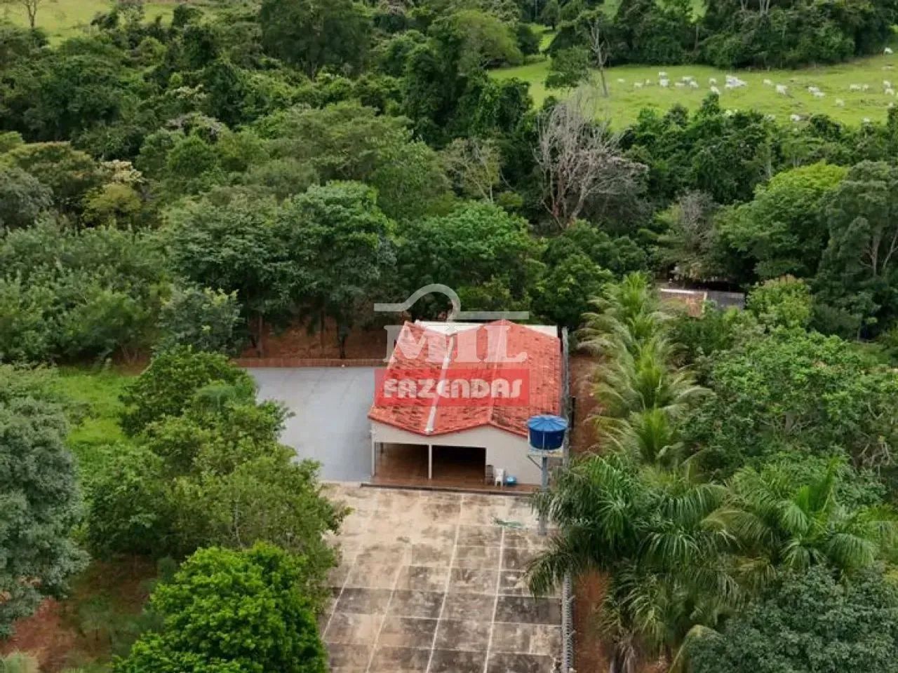 Chácara 3.000M² Itaberaí-GO. - Foto 4