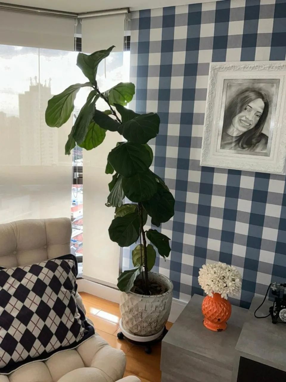 Planta com Vaso e Suporte - Foto 3