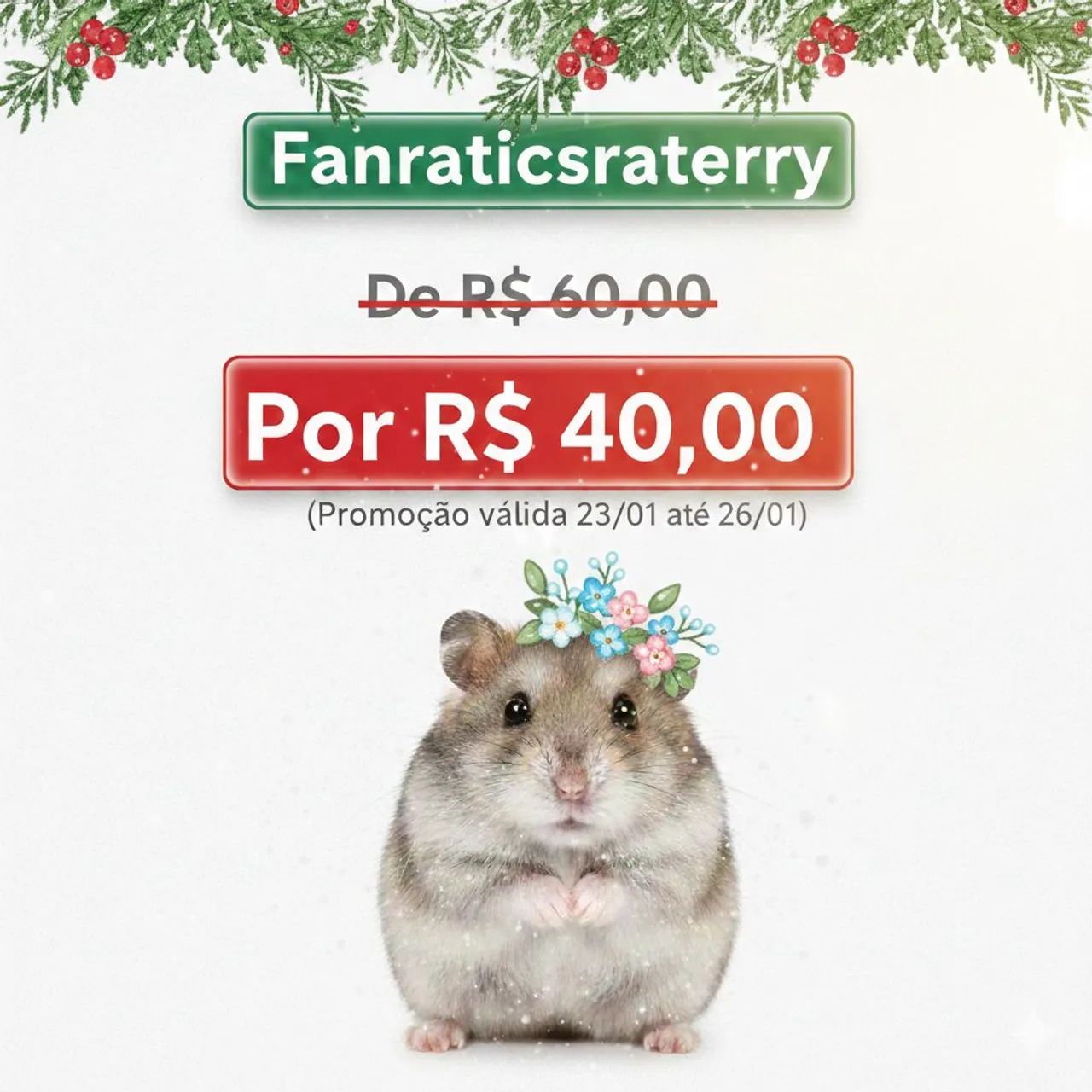 Hamster anão russo promoção só hoje?!!! 