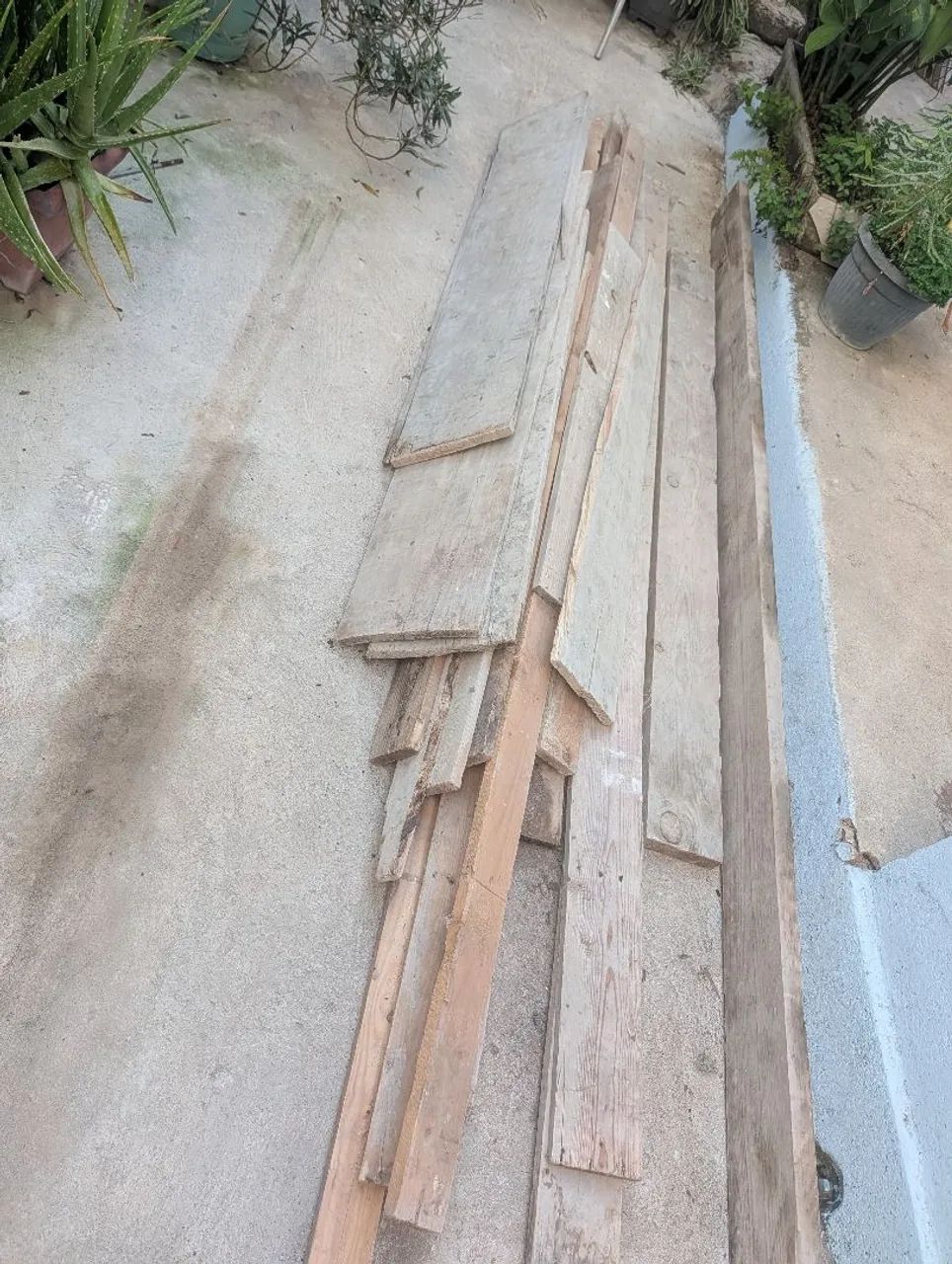 Madeiras de Pinhos - Foto 3