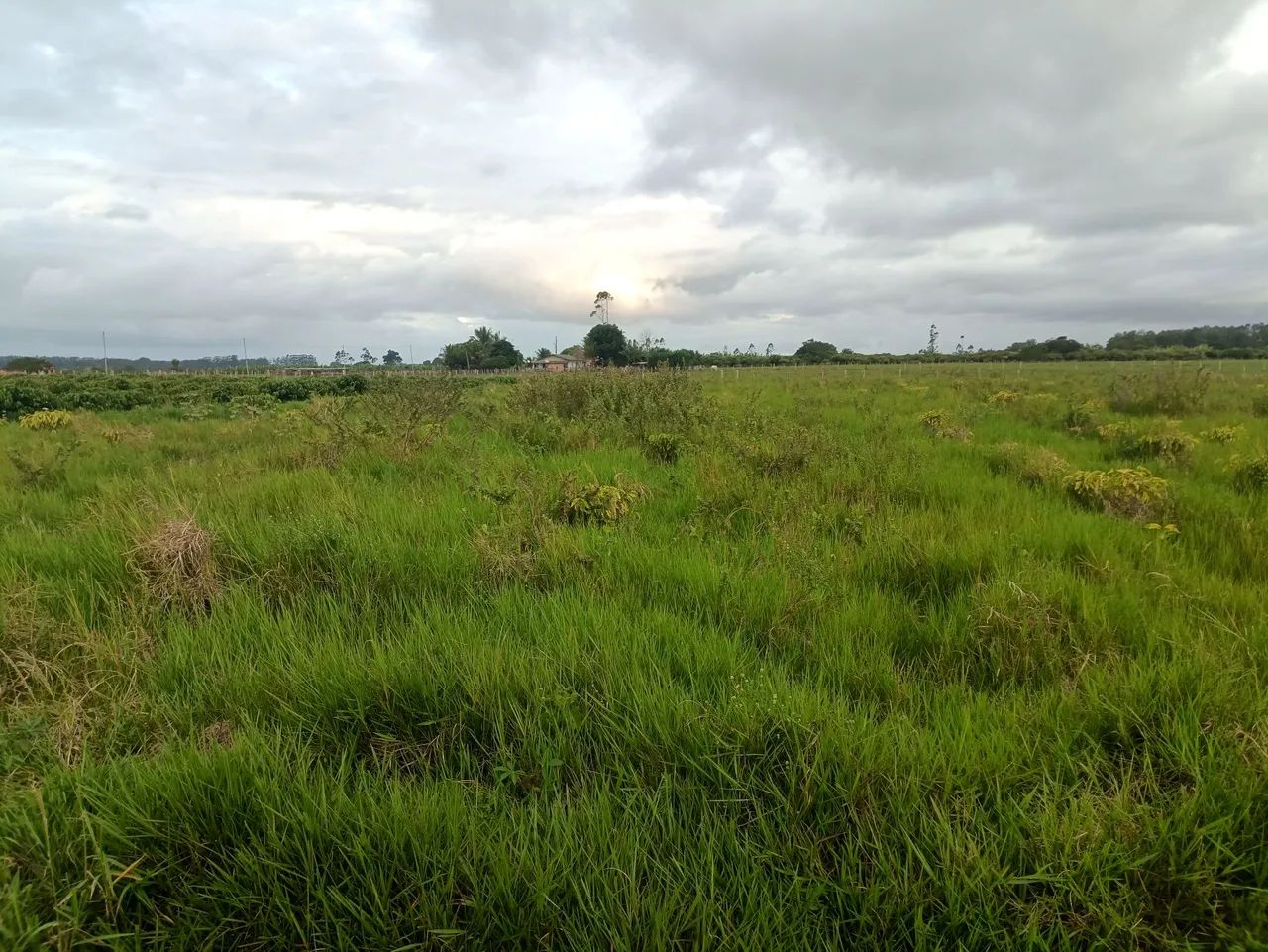 Lote a venda  - Foto 4