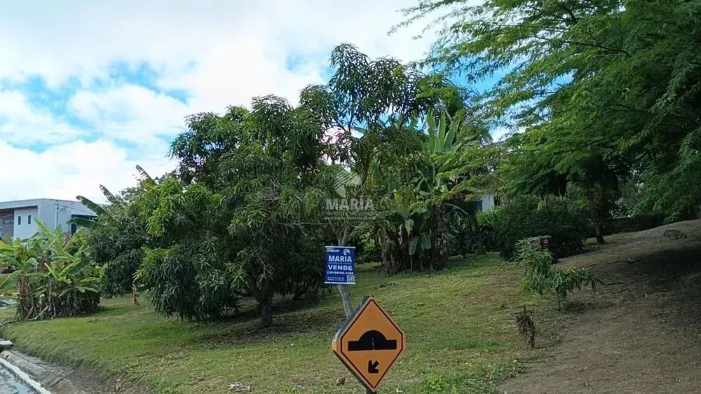 Imóvel para venda tem 1000 metros quadrados em Saire - Sairé - PE - Foto 7