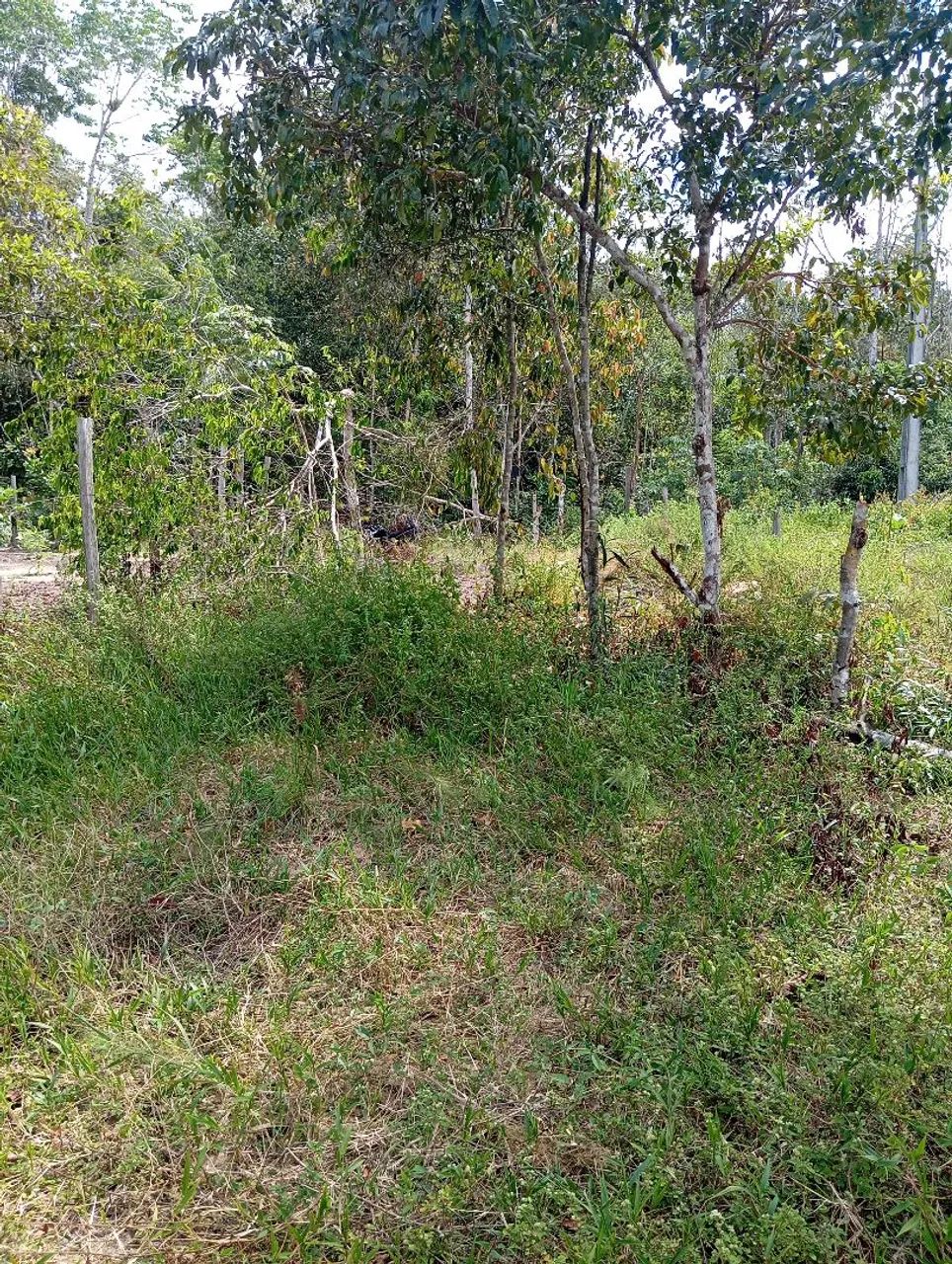 Vende -se Terreno  - Foto 4
