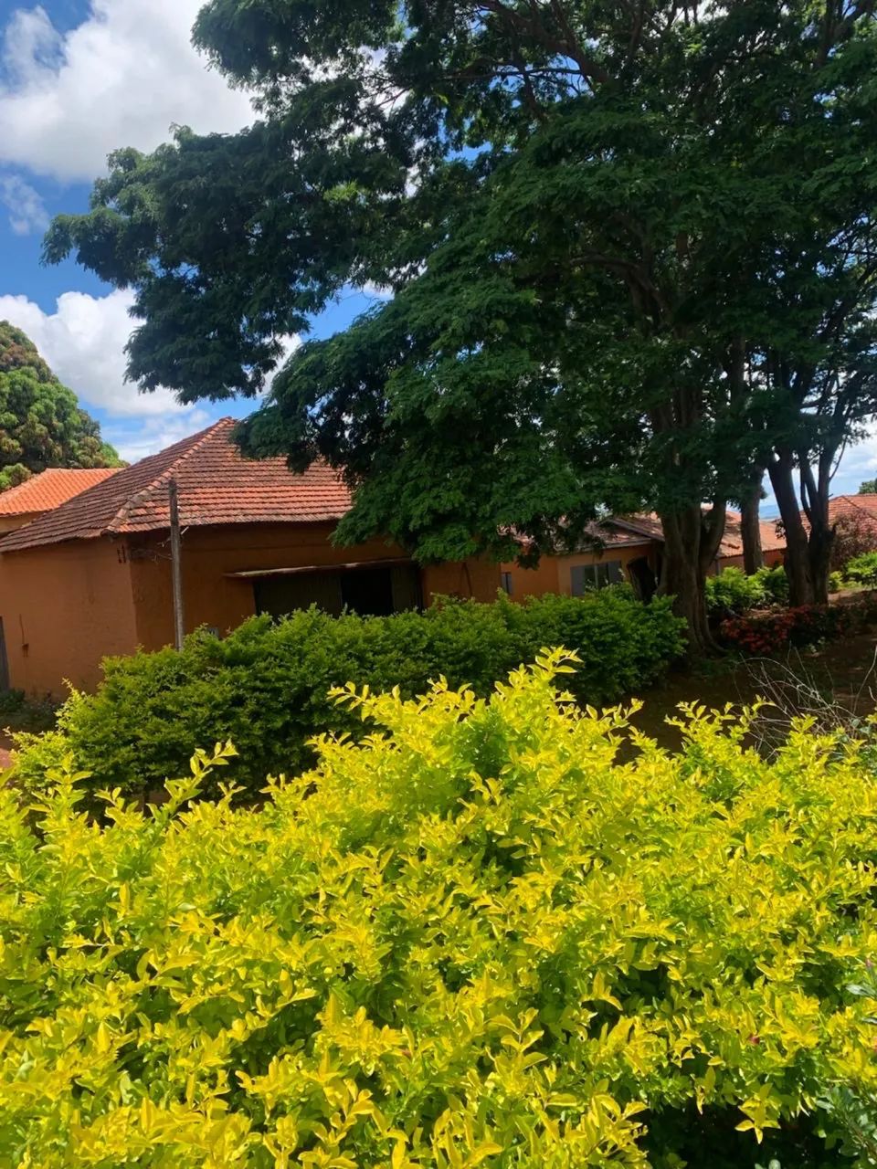 Fazenda dupla aptidão região monte alegre  - Foto 4