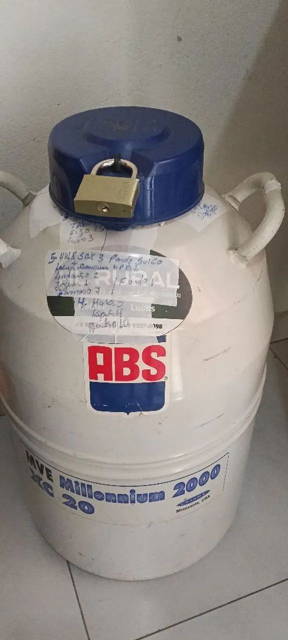 Botijão 