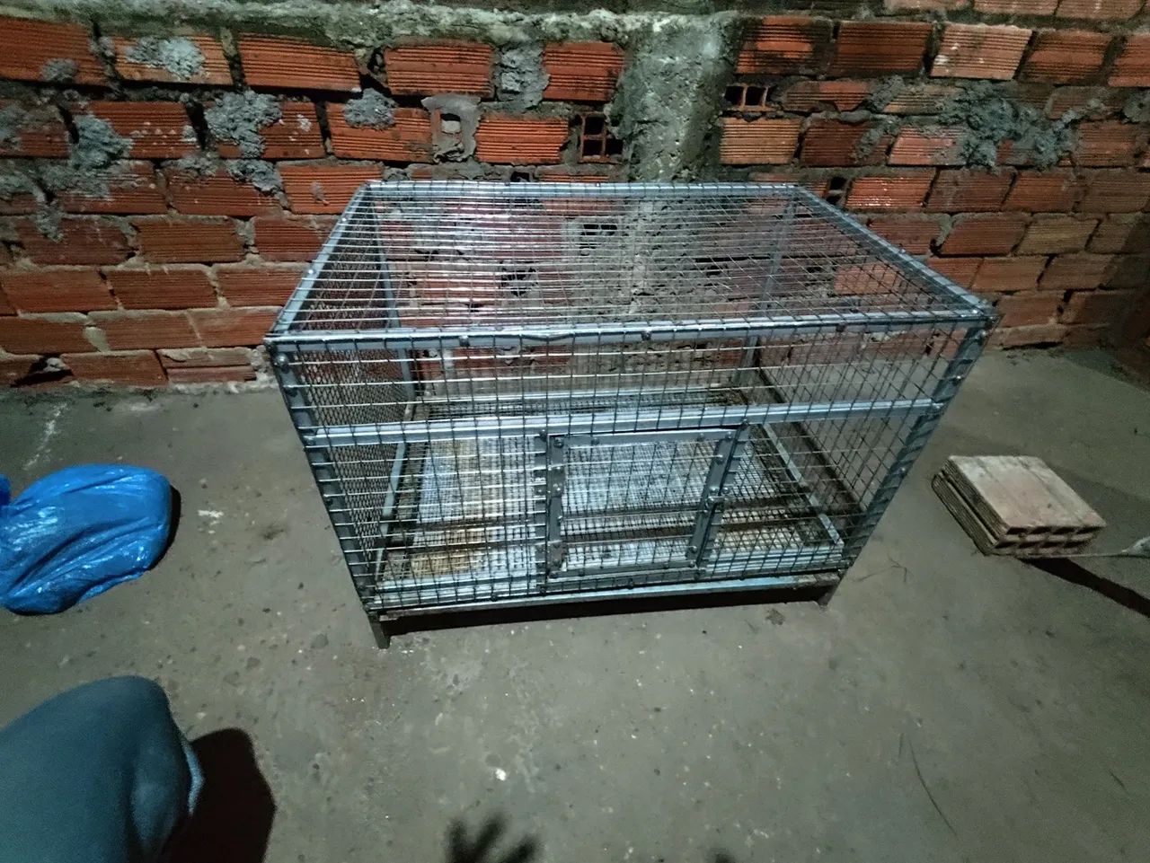 Gaiola  - Foto 3