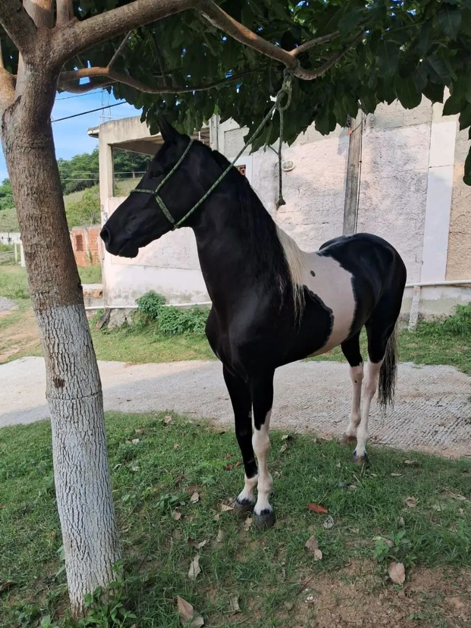 Pra vender, somente venda... - Foto 2