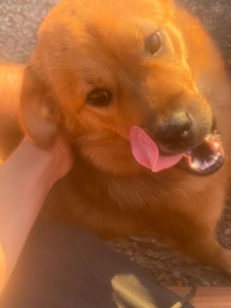 Doação de jade - Foto 4