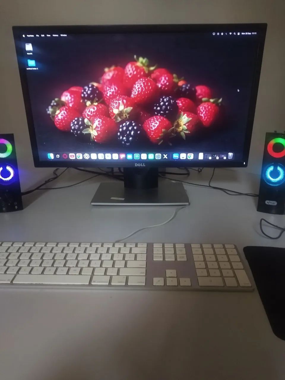 Monitor Dell