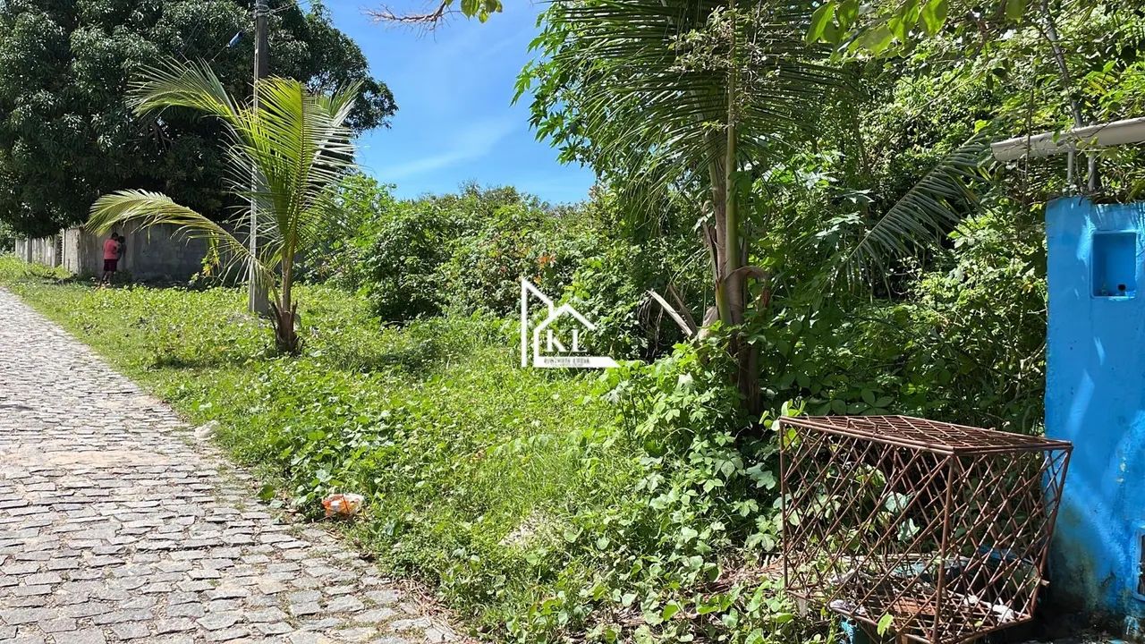 Área / Terreno 900m² em Pium - centro - Foto 3