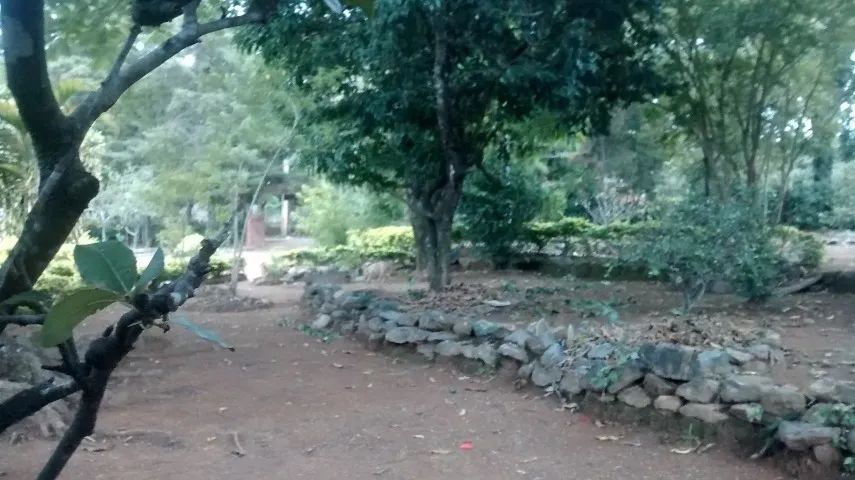  Sitio em Lagoa Santa - Foto 4