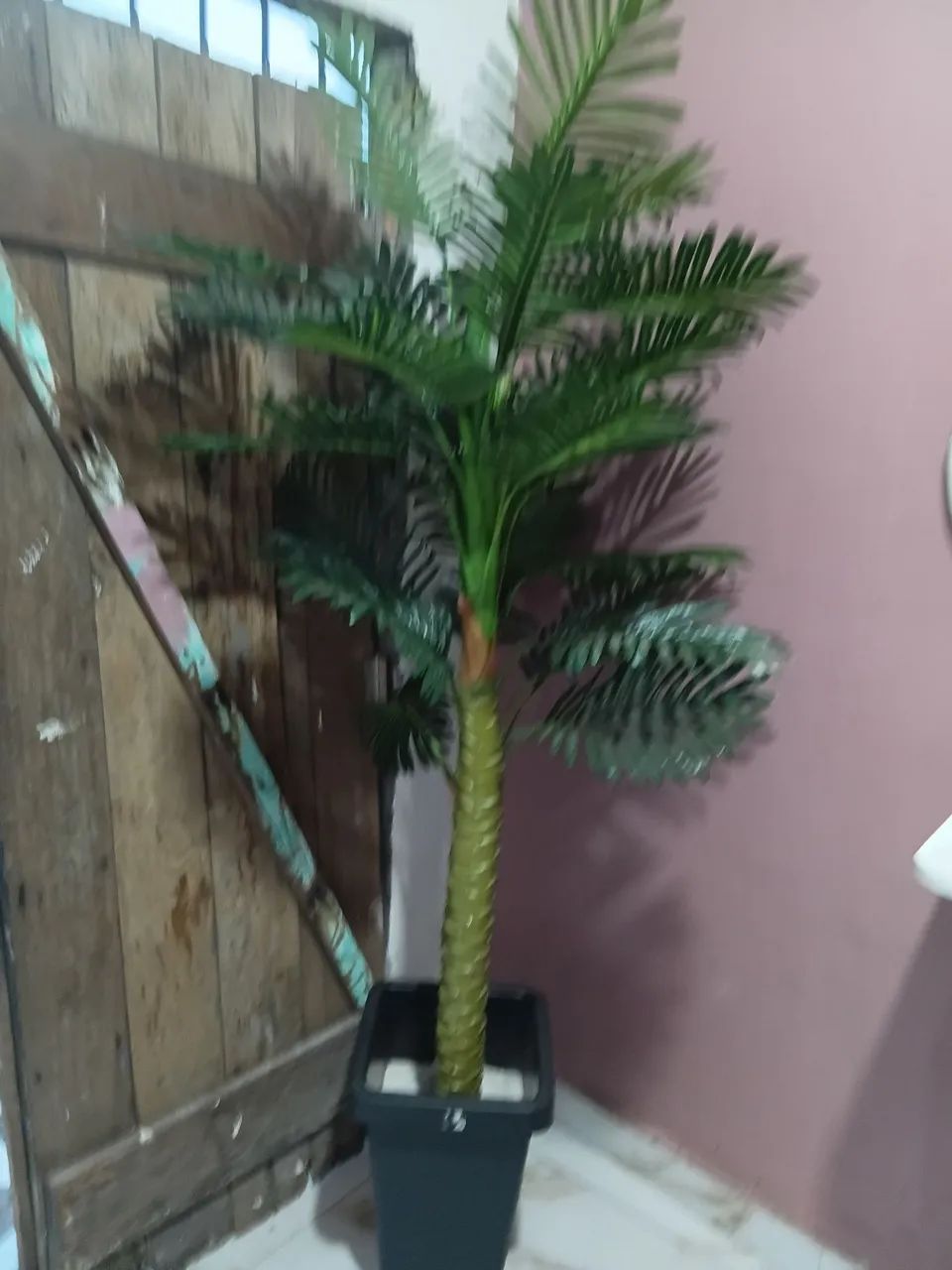Salão  - Foto 4