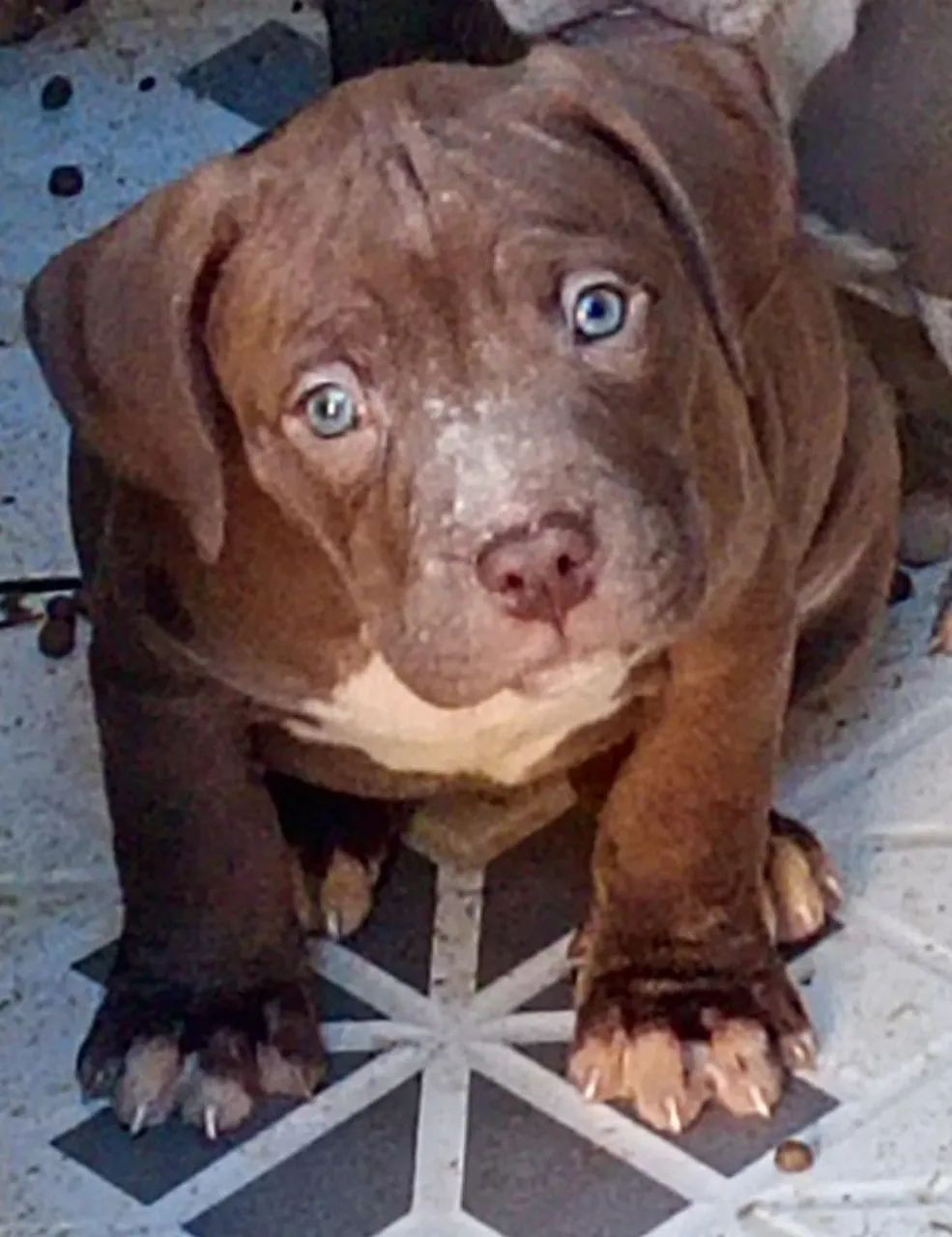 Pit monster 