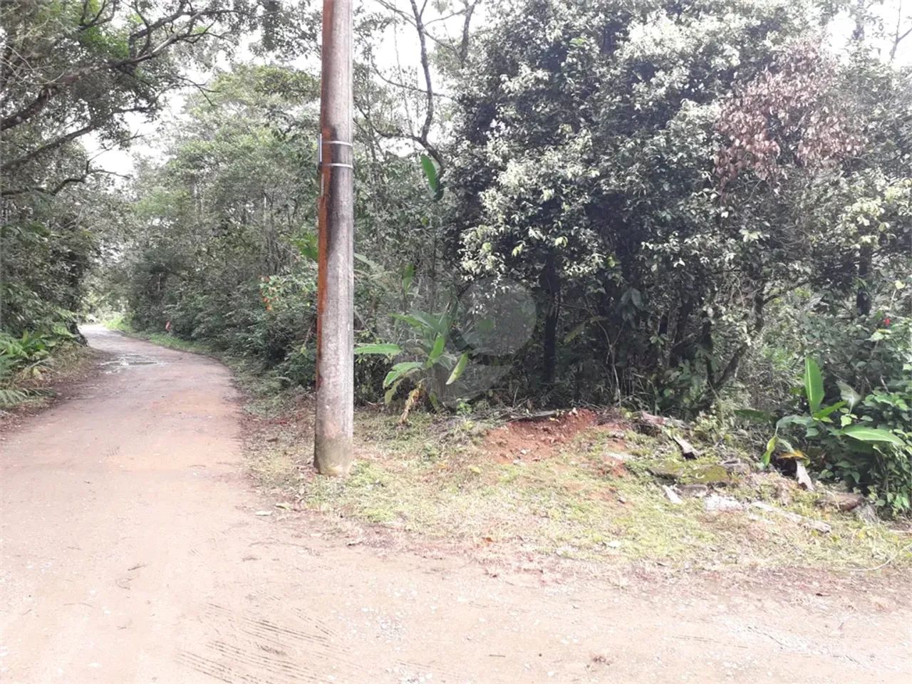 Terreno à venda em Verde mar - SP - Foto 3